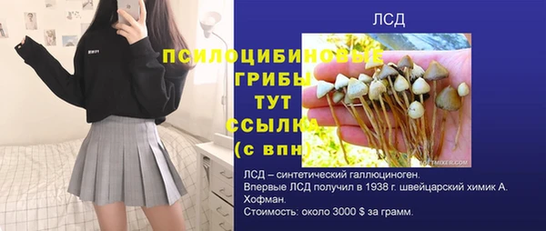 прущие крисы Аркадак