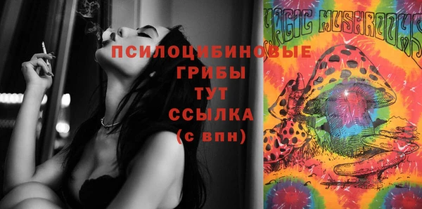 ГАЛЛЮЦИНОГЕННЫЕ ГРИБЫ Шарыпово